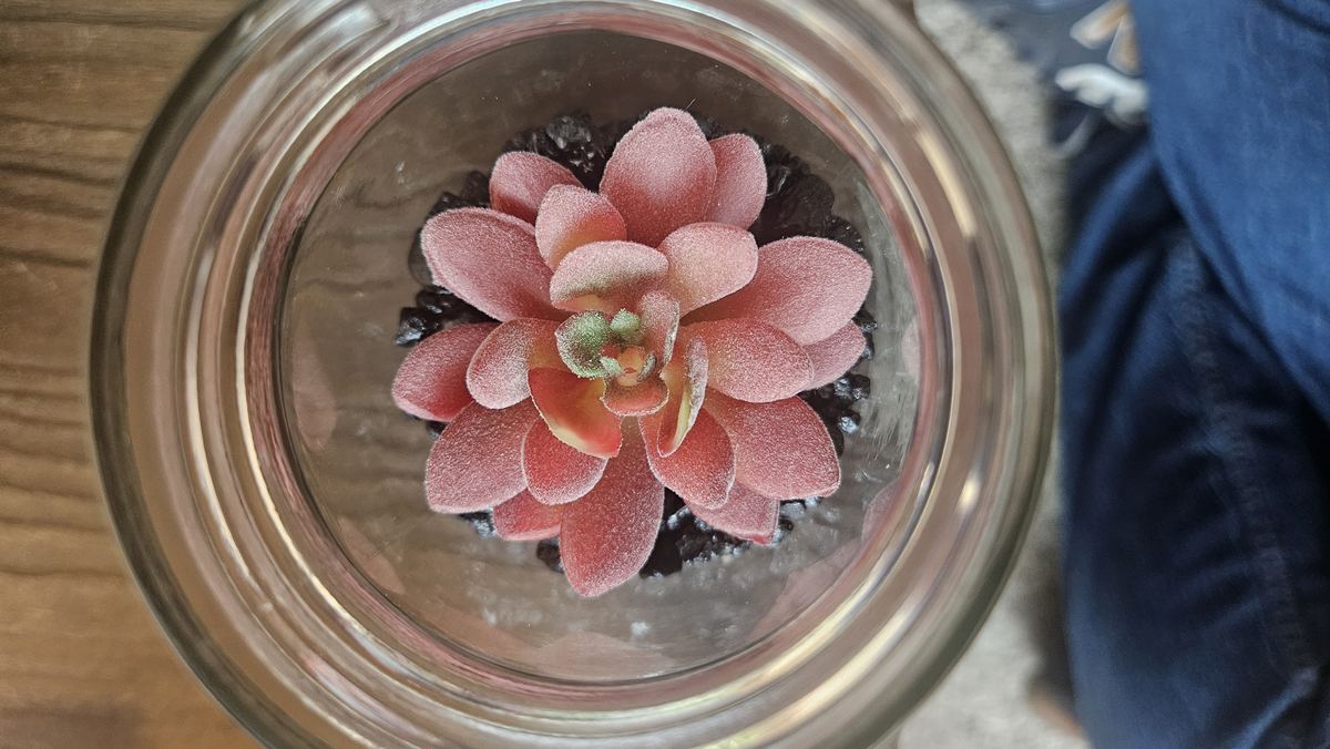 Top view of a pink faux succulent inside a glass jar