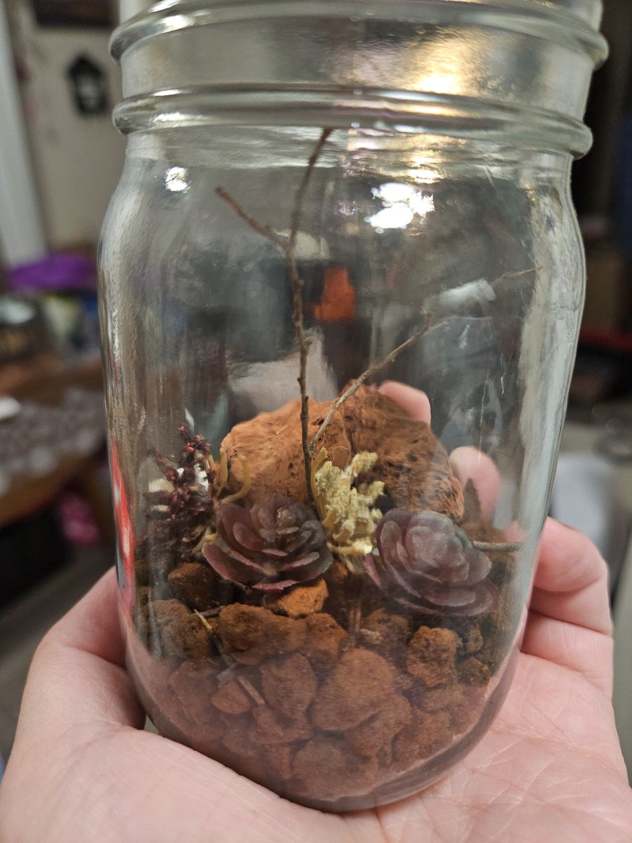 Faux succulents and red lava rock in a jar held in a hand