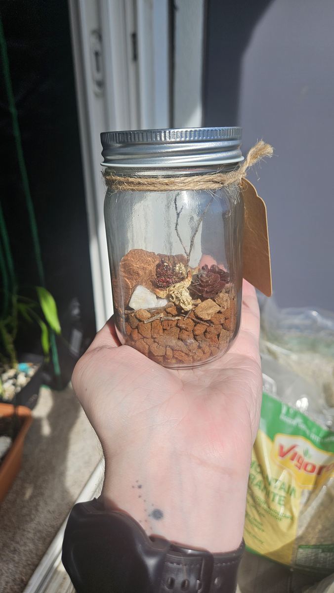 Small faux terrarium jar with twine and a gift tag